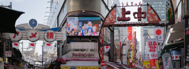 Japan5-Jan07-12 Alternative view of the split path in Ameyoko, Ueno, Tokyo
