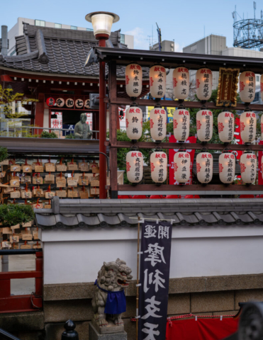 Japan5-Jan07-15 The Marishiten Tokudaiji Temple, Ameyoko, Tokyo