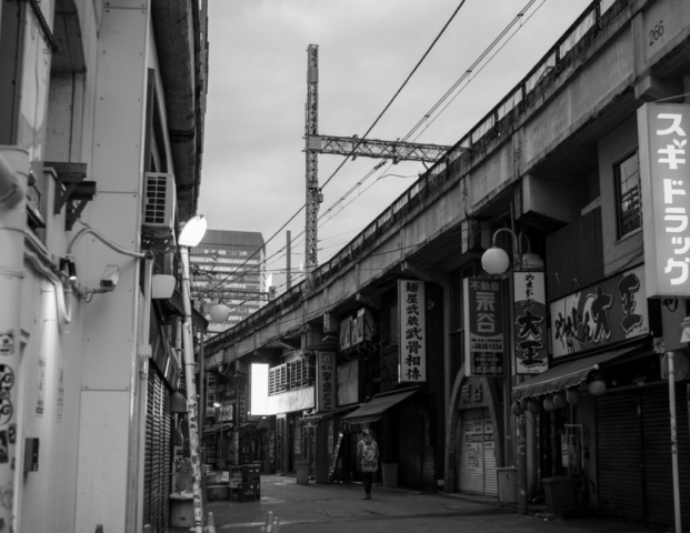 Japan5-Jan07-8 Under the tracks in Ameyoko, Ueno, Tokyo